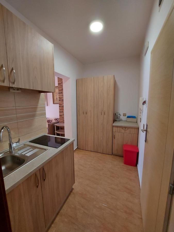 Vila Maka Apartment Budva Bagian luar foto